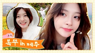 세은이의 Vlog 3  복뚱 in 제주🍑🍊 [upl. by Omoj]