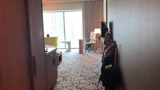 Luxury Room  Sofitel Downtown Dubai [upl. by Gomer]