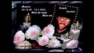 In Memory of Maurice Gibb Immortality [upl. by Winthorpe352]