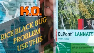 Farming With Sam On A Review Of Lannate Insecticide Du Pont 30  01 22 [upl. by Lewse]