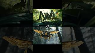 Mantis vs Spider vs Bug Ant Hornet Beetle Centipede Locust [upl. by Dlonyer282]