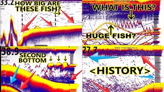 Sonar for Beginners Fish finders for Dummies MORE Lessons added PLUS SIDE SCAN Explained Simrad [upl. by Lusa]