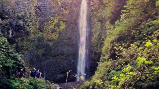 Walking Madeira  quotCaldeirão Verdequot levada walk [upl. by Laehcar]