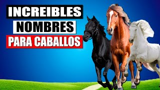 🐴Nombres para Caballos Machos Únicos y originales [upl. by Ecirum]