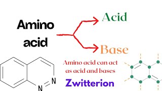 Amino acid can act as acid and bases  Zwitterion  Amphoteric molecules  Botany Mantra  Biology [upl. by Cassey]