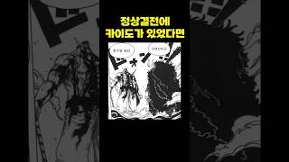 만약 정상결전에 카이도가 있었다면 [upl. by Vod]