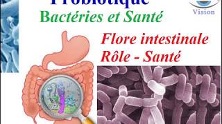 Microbiote immunité Roles Bacteries flore intestinale Probiotique sur la Santé nutrition bactérienne [upl. by Adnuhsal]