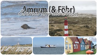 Rund um die Insel Amrum Weiter Strand Dünen Leuchtturm amp Seehunde Doku [upl. by Yunfei]