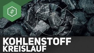 Kohlenstoffkreislauf – Stoffkreisläufe 3 [upl. by Ynove715]