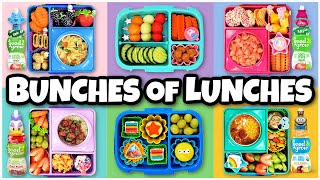 16 DELICIOUS Hot Lunch Ideas For Cold Days 🔥 Bunches Of Lunches [upl. by Knute]