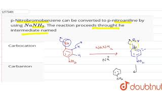 pNitrobromobenzene can be converted to pnitroaniline by using NaNH2 The reaction proceeds th [upl. by Ained729]