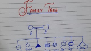 How to draw quot Family Tree quot in Peads History Taking [upl. by Harobed]