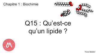 Chapitre 1  Biochimie  Q15  Questce quun lipide [upl. by Gerri905]