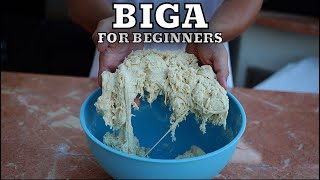 How to Make Biga for Beginners Easy and Fast for Neapolitan Pizza [upl. by Vite]