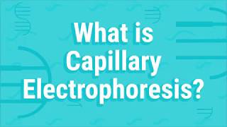 What Is Capillary Electrophoresis [upl. by Ainar]