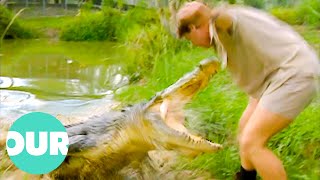 Can Steve Irwin Capture The Australian Saltwater Crocodile  Our World [upl. by Haisoj]