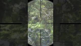 Ghillie Airsoft Sniper takes out players [upl. by Caputo170]