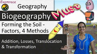 Forming the Soil  Factors 4 Methods and 13 Types Dr Manishika  Examrace [upl. by Eelyma]