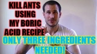 How to Kill Ants Using My Homemade Boric Acid Recipe  Only Three Ingredients Needed [upl. by Ahsela]