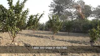 Climate Smart Village Project Agroforestry [upl. by Wiltz]