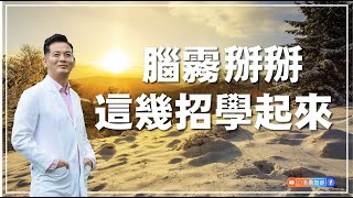 健康四招 預防腦霧｜洛桑加參 [upl. by Alemaj]