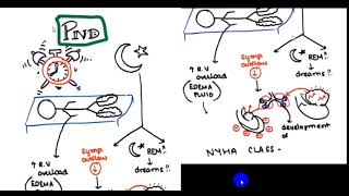 ORTHOPNEA AND PND AND PLATYPNEA AND TREPOPNEA 4TH YR [upl. by Oicnedurp]