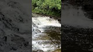 Beautiful Ocqueoc Falls in Northern Michigan shorts waterfalls travel [upl. by Nylrats]