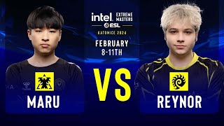 Maru vs Reynor  IEM SC2 Katowice 2024  Group Stage [upl. by Adnahsor629]