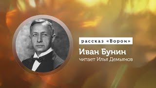 Иван Бунин аудиокнига Рассказ «Ворон» [upl. by Zebapda]