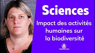 Impact des activités humaines sur la biodiversité  Sciences  Terminale  Les Bons Profs [upl. by Ahsinna]