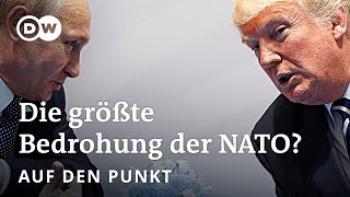 Trump und Putin Zwei gegen NATO und Ukraine  Auf den Punkt [upl. by Leahcam]