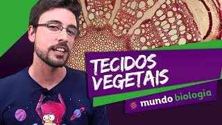 🌿 Botânica 35 Histologia Vegetal  Biologia  ENEM [upl. by Harim381]