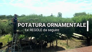 POTATURA ORNAMENTALE le regole da seguire [upl. by Hepsibah132]