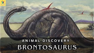 Brontosaurus Shadows of Giants  Unraveling the Mysteries of the Dinosaur World [upl. by Asile]