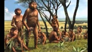 Australopithecus Africanus Physical anthropology [upl. by Melodie]