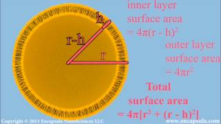 Liposome size calculation [upl. by Moishe789]