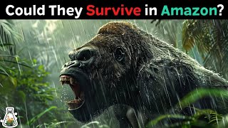 What if Gorillas Were Introduced Into the Amazonian Rainforest [upl. by Ahsemrac]