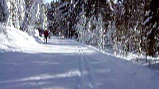 Langlaufen Bayerischer Wald Lalling Skigebiet DeggendorfRuselOberbreitenau [upl. by Ayrb39]