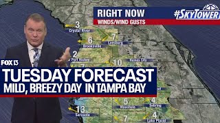 Tampa weather  mild gusty day in store on March 26 2024 [upl. by Nike238]