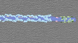 Scientists shoot first truetolife 3D image of the thick filament of mammalian heart muscle [upl. by Isia623]