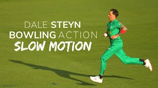 Dale Steyn Bowling Action SlowMotion [upl. by Aylmar]