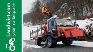 Holzladekran auf Muli gebaut  landwirtcom [upl. by Drugi459]