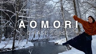 AOMORI ・TOHOKU🇯🇵 Oirase Gorge in Winter❄️ Stay at Oirase Keiryu Hotel Japan travel vlog [upl. by Ellord]