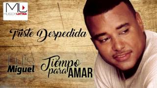 Triste Despedida  Luis Miguel del Amargue  Audio Oficial  Bachata [upl. by Senga]