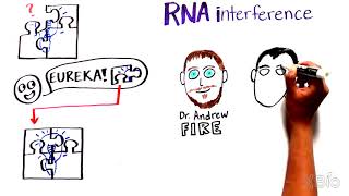 What is RNA interference RNAi [upl. by Etaner]