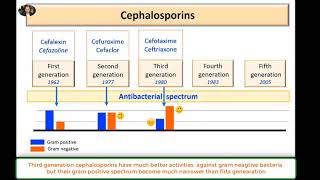 Cephalosporins Antibacterial Spectrum five generations cephalosporins [upl. by Uuge52]