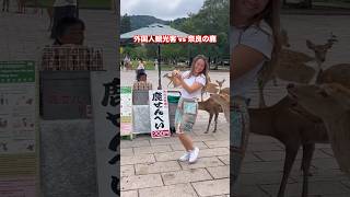 自然の愛に抱かれて  Nara Deer Park Japan 奈良日本旅行  お辞儀をする鹿日本  日本ビデオブログ 4k  へずまりゅう 奈良公園 japan [upl. by Kinata]