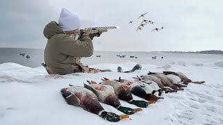 Diver Duck Hunting One of The BIGGEST LAKES in North Dakota [upl. by Gnagflow]