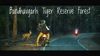 Bandhavgarh National Park And Tiger Reserve  MP Tourism  Corona Threat [upl. by Carri442]