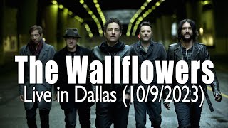 The Wallflowers  Highlights LIVE  1092023 [upl. by Nace11]